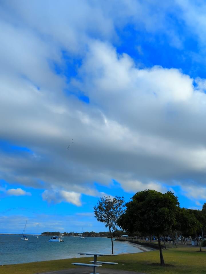 1853B0CE-7768-41BC-995D-CF7B92A7BC14