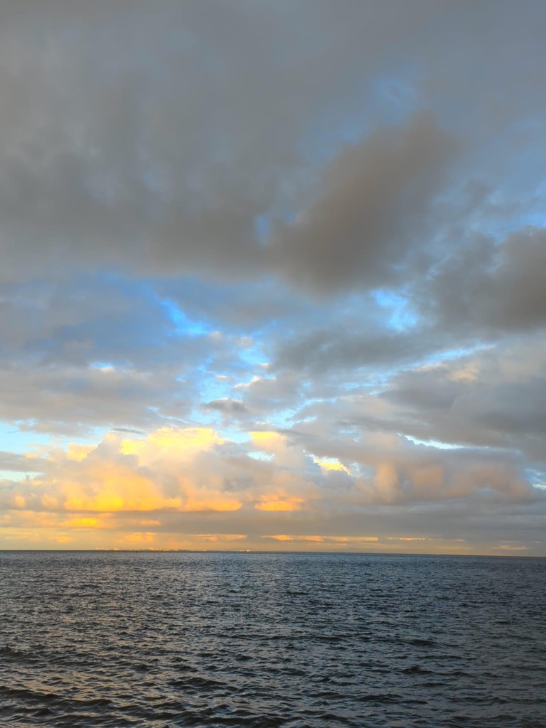 6097F27F-2D69-4116-AD3C-8405EA23F304_1_105_c