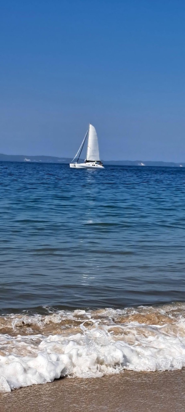 725E04D4-57F3-4939-97BF-89159F868A51_1_105_c