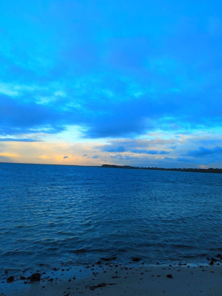 B40395B5-B2FF-406F-99DF-01029542CCA2_1_105_c