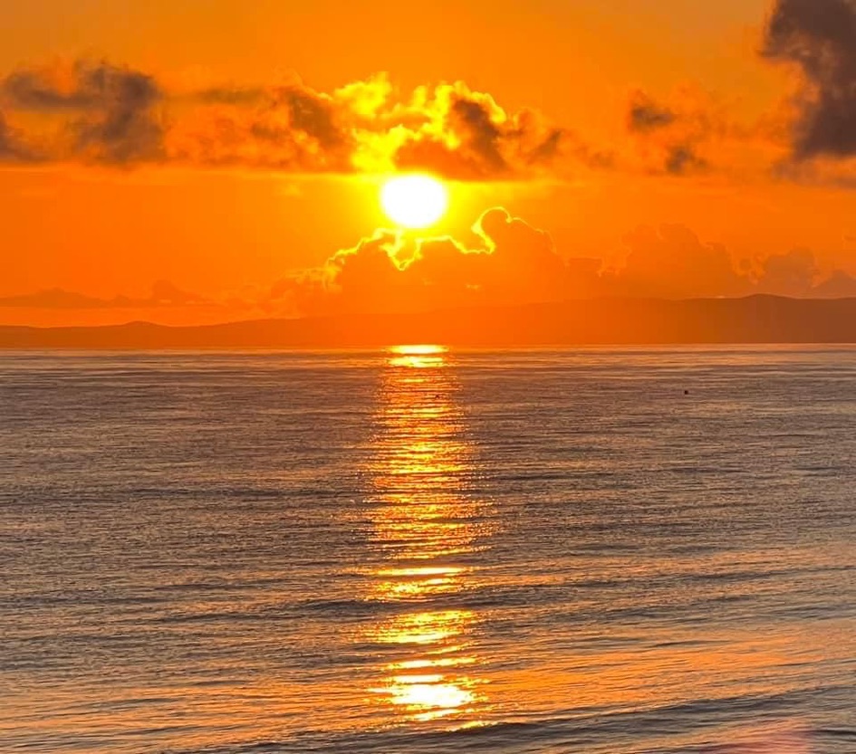 B7E15081-8998-4C35-95ED-2ED98F6B8144_1_105_c