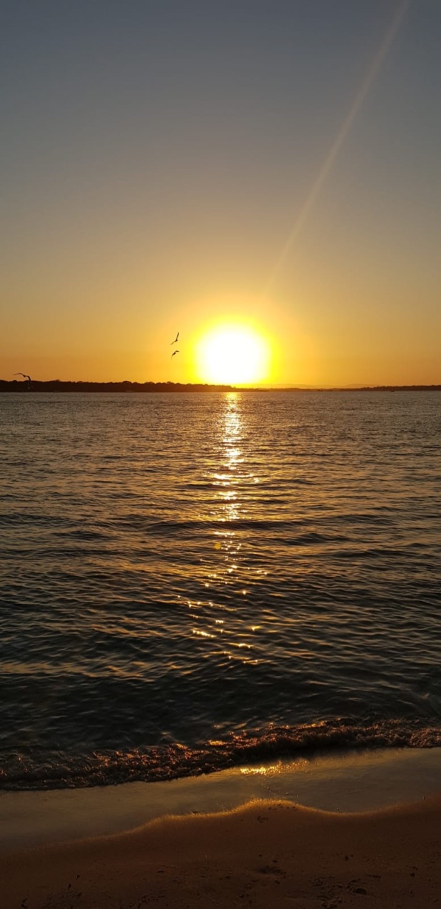 F0E920EA-B3C8-496E-B5AA-64014CD711BF_1_105_c